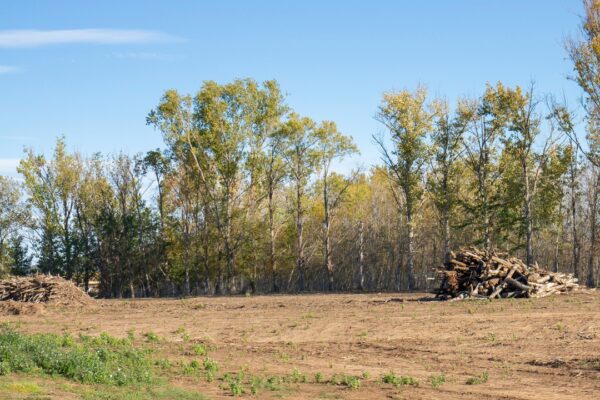 land clearing