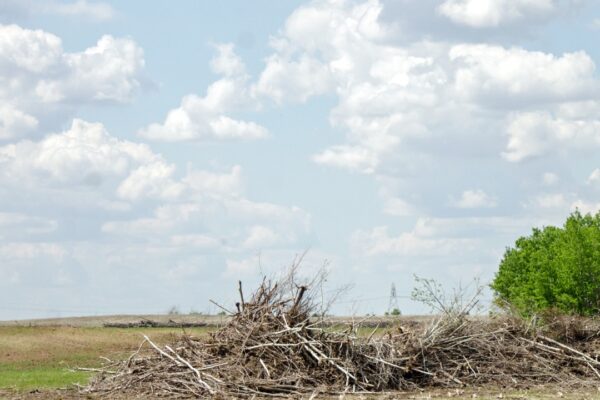 brush clearing