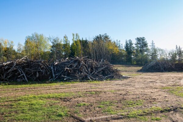 brush piles after land clearing