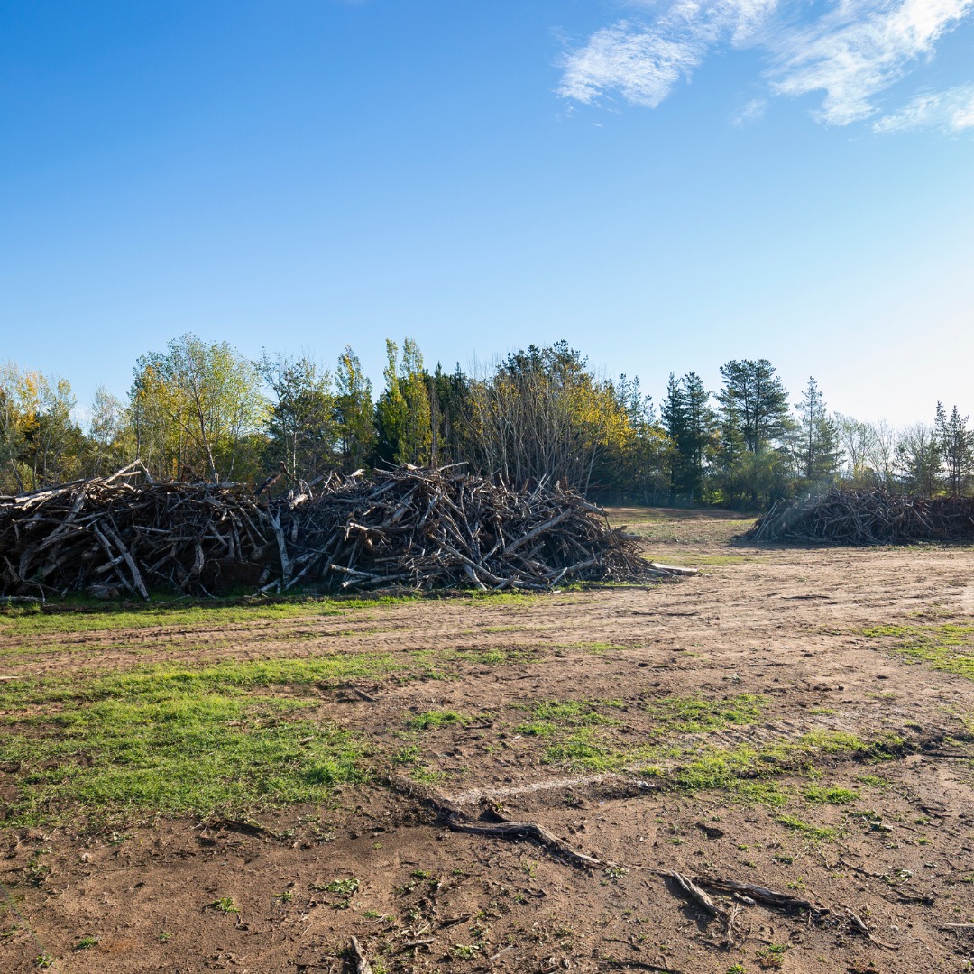 brush pile after land clearing service