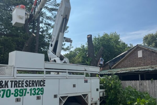 bucket truck tree trimming